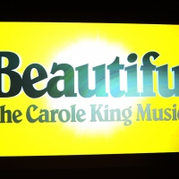 BEAUTIFUL Canceled Tonight At Fisher Theatre Due To Company Travel Delay/Winter Weather Photo