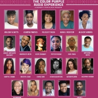 Full Casting Announced For THE COLOR PURPLE Audio Experience: A Benefit for Black Wom Photo