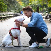 Tails of Broadway: WICKED's Riley Costello Plays Around with Ryder! Photo