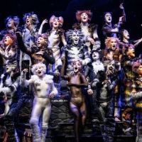 CATS On Sale At The Fox Cities Performing Arts Center This Friday Photo
