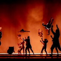 Sydney Festival Unleashes 2022 Program