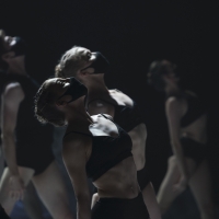 Louisville Ballet Presents Stravinsky's THE RITES OF SPRING Via Digital Performance