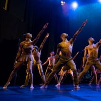 The Auditorium Theatre Presents Deeply Rooted Dance Theater, October 23 Photo