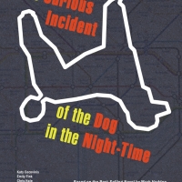 Arc Stages Presents THE CURIOUS INCIDENT OF THE DOG IN THE NIGHT-TIME Photo