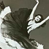 Public Celebration of the Life of Ann Reinking Will Be Held at the Ambassador Theatre Photo