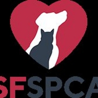 San Francisco SPCA Kicks Off 155th Anniversary With Community Open House And Adoption Even Photo
