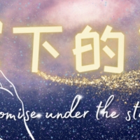 PROMISE UNDER THE STARS Comes to PJPAC This Month