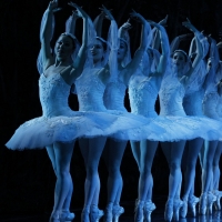 Australian Ballet Presents SUMMERTIME AT THE BALLET Video