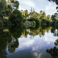 Napa Valley Museum Yountville Announces 'Living Napa River' Exhibit and Call to the C