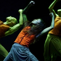 Akram Khan Company's JUNGLE BOOK REIMAGINED Comes to Sadler's Wells in April Photo