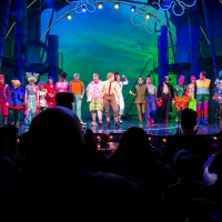 THE SPONGEBOB MUSICAL: LIVE ON STAGE Available on DVD Nov. 3 Video