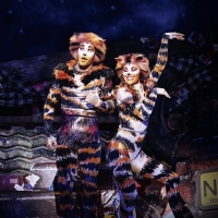 CATS at Musical Vienna Cancelled Through 9 January