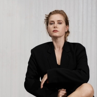 More Tickets Released For THE GLASS MENAGERIE Starring Amy Adams Photo