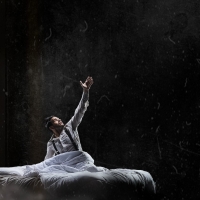 Cast Revealed For Teatro Vista's DREAM KING