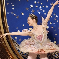 Remaining Performances of THE NUTCRACKER in Toronto Cancelled Photo