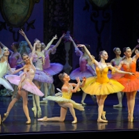 NJPAC Hosts 2023 Dance Performances Including 50th Anniversary Of Pilobolus, Riverdan Interview