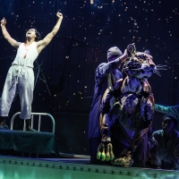 Photos: First Look at LIFE OF PI North American Premiere at American Repertory Theate Photo