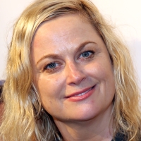 Amy Poehler to Adapt THE GENTLE ART OF SWEDISH DEATH CLEANING for Peacock Photo
