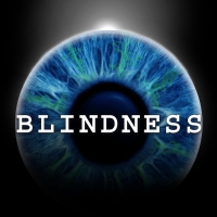 BLINDNESS Adds More Performance Times at The Daryl Roth Theatre Video