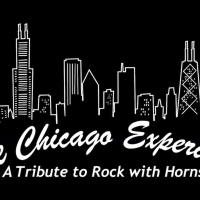 THE CHICAGO EXPERIENCE: A TRIBUTE TO ROCK WITH HORNS to Play at the Metropolis Perfor Photo