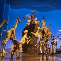 Photos: Check Out New Production Images of THE LION KING Ahead of its 25th Anniversar Photo