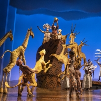 Photos: Check Out New Production Images of THE LION KING Ahead of its 25th…
