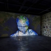 'Nalini Malani: Gamepieces' Comes to AGSA in November