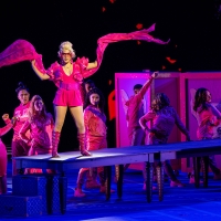 Photos: First Look at Kyla Stone, Patti Murin & More in LEGALLY BLONDE at The Muny Photo