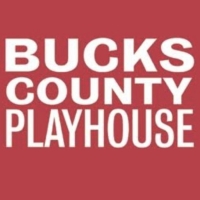 Bucks County Playhouse Youth Company is Searching for Boys 13-18 for Production of AL Photo