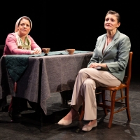 Photos: First Look at the World Premiere of HOW TO LIVE at LABA