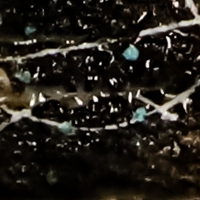 Alicia Rodriquez Solo Exhibition Announced At Bailey Contemporary Arts