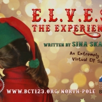 Birmingham Children's Theatre Offering Virtual Tours of the North Pole! Photo