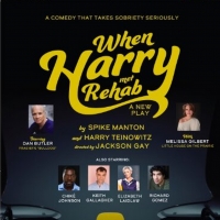 The World Premiere of WHEN HARRY MET REHAB Will Be Performed at the Greenhouse Theatr Photo
