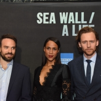 Photo Coverage: On the Red Carpet at Opening Night of SEA WALL/A LIFE, Starring Jake  Photo