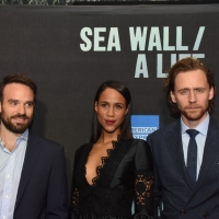 Photo Coverage: On the Red Carpet at Opening Night of SEA WALL/A LIFE, Starring Jake…