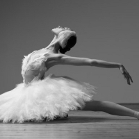 Leading Bolshoi Ballerina Makes the Move to Dutch National Ballet Photo