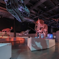 Ars Lyrica Houston Hosts Gala At The Houston Museum Of Natural Science, February 4 Video