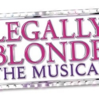 LEGALLY BLONDE THE MUSICAL Comes to Lincoln This Month Interview