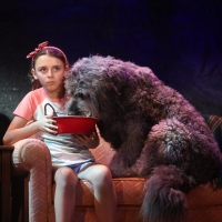Photo Flash: Get A First Look At BECAUSE OF WINN DIXIE at Goodspeed Musicals Photo