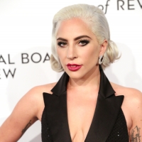 Lady Gaga Calls Off Performance in Vegas Due to Severe Illness