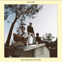 Multi-Platinum Alt-Rock Trio WALLOWS Drops New Single Photo