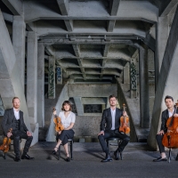 Australian String Quartet Bound For Royal Albert Hall Season