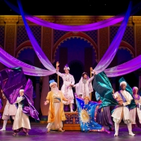 ALADDIN, FANTASIA, and More Will Be Performed on the Walt Disney Theatre on the Disne Photo