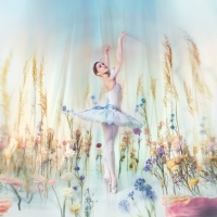 The Royal Ballet's CINDERELLA Celebrates its 75th Anniversary and a New Production Video