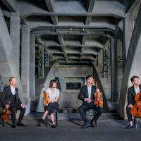 The Lab Presents Australian String Quartet Exclusive Immersive Sensory Experience