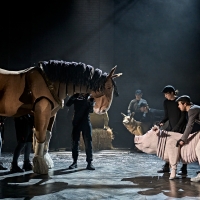 Photos: Check Out New Images of ANIMAL FARM UK Tour