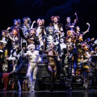 Andrew Lloyd Webber's CATS Will Play Mayo Performing Arts Center From, March 10-Marc Photo