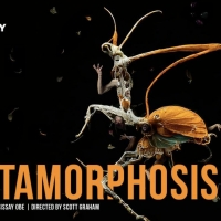 Frantic Assembly Presents METAMORPHOSIS on UK Tour Next Year
