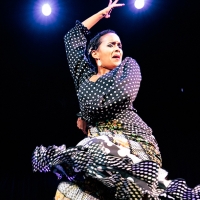 The Lisa Smith Wengler Center for the Arts Presents Flamenco Vivo Carlota Santana in FRONTERAS