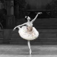THE NUTCRACKER Will Be Performed by the Boston Ballet This November Photo
